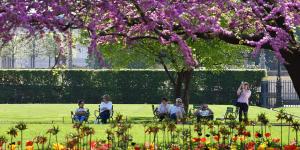 杜乐丽花园（ALAIN JOCARD/AFP via Getty Images）