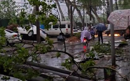 4月9日，武汉遭遇狂风暴雨冰雹袭击，电线杆、树木倒伏。（图片来源：网路截图）
