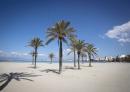 疫情导致封城，西班牙著名的Palma海滩变得空空荡荡。（AFP/Getty Images）