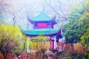 长沙的爱晚亭 （ZHANGZHUGANG/WIKI/CC BY-SA）