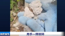 水泥砂浆用手一掰就碎。(图片来源：视频截图)