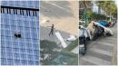 2026年6月26日，一架小飞机撞上北京中信大厦，残骸散落一地。（网络图片）