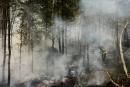 枫丹白露的森林大火（Dimitar DILKOFF / AFP via Getty Images）