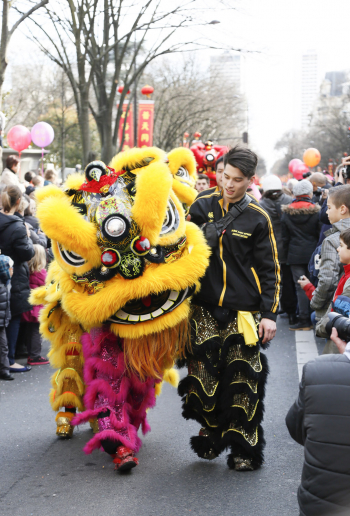 2015巴黎13区欢庆中国新年(图组3)