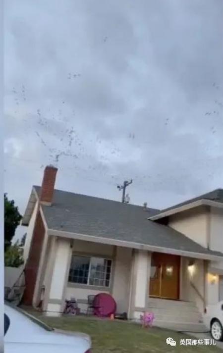 (以下图片均来源:英国那些事儿 )