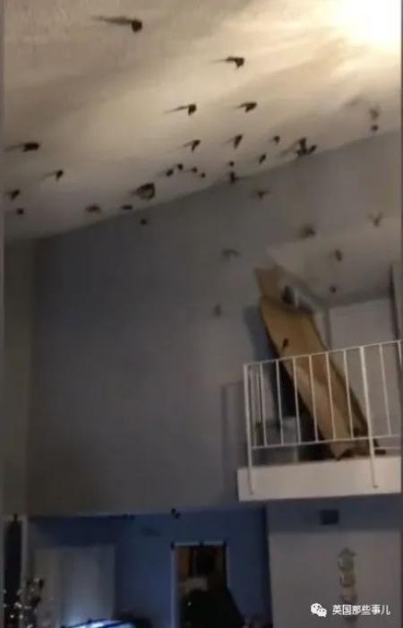 (以下图片均来源:英国那些事儿 )