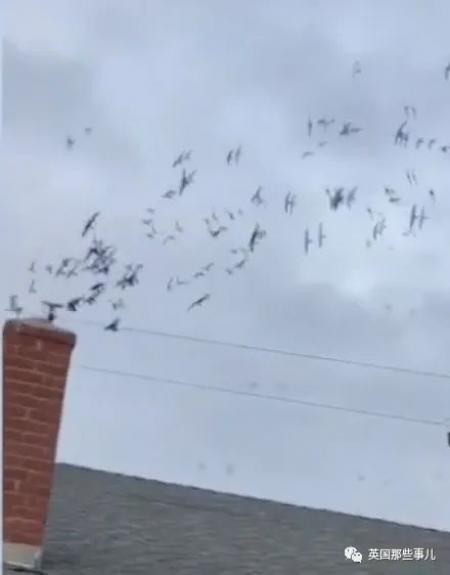 (以下图片均来源:英国那些事儿 )