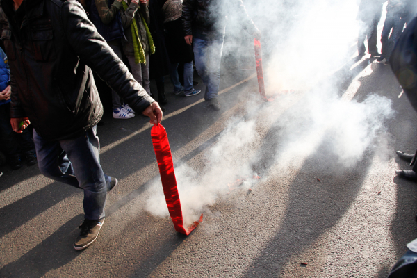 巴黎3区华人新年游行图集(二)