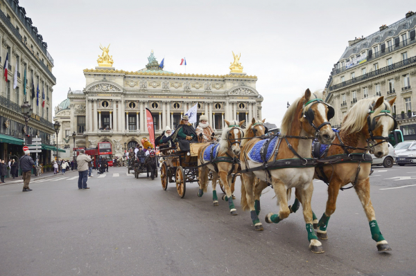 2014年法国马展(Salon du Cheval 2014)在巴黎北部Villepinte展览馆(Parc desExpositions de Paris Nord Villepinte)举行