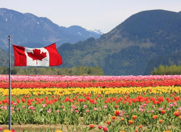 加拿大（123RF）