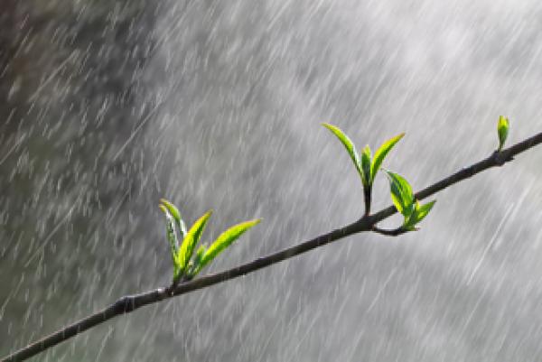一到清明，天气回暖，气候湿润，雨水增多，万物复苏，大地一片生机勃勃。（公有领域）