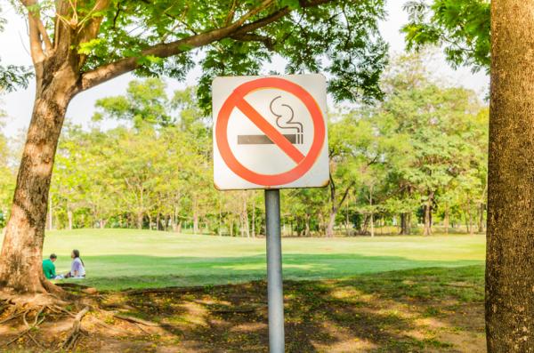 巴黎全市已经有500个儿童公共游乐场实行了禁烟措施。(123RF)