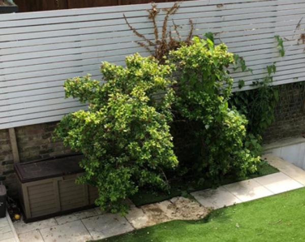 一名男子从天而降砸在一花园里