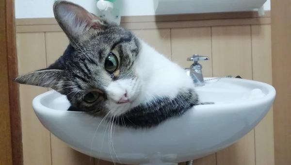  140 上午1:34 - 2019年8月3日