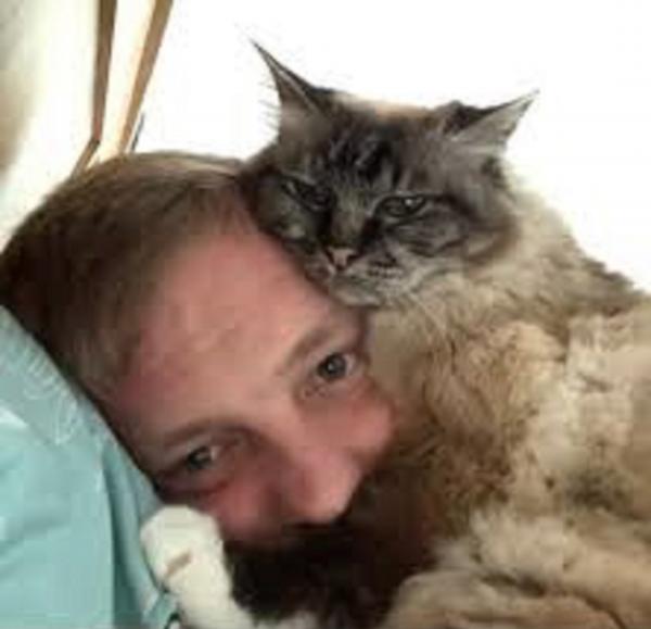 猫咪和它的主人Greed（Twitter)