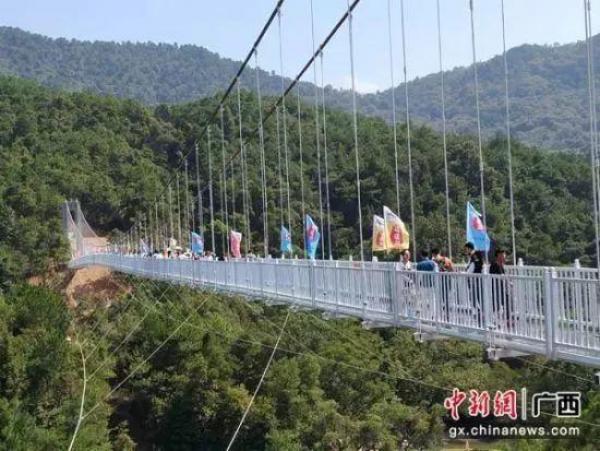 广西桂林玻璃桥 ( 网络图片)
