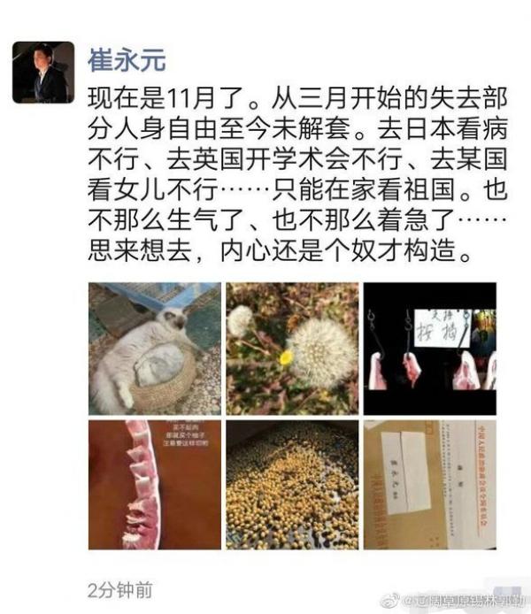 日前网络曝出，崔永元其实早已经处于半软禁状态。（网络图片）