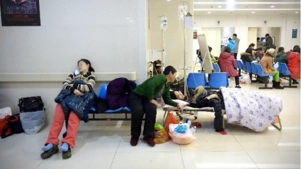 中国鼠疫发源地内蒙古小镇,夏季即已鼠患成灾。(图片来源: Getty Images)