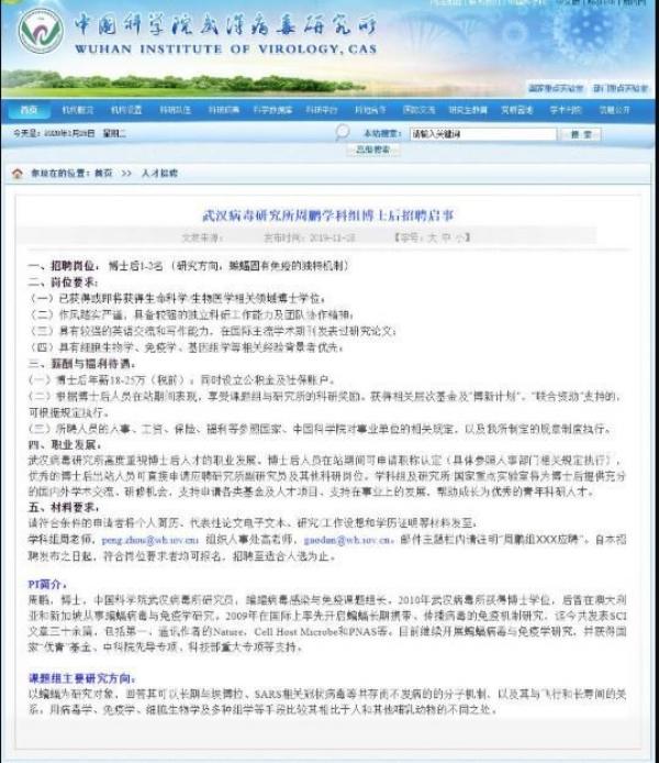 周鹏实验室招聘启事(图片来源:网页截图)
