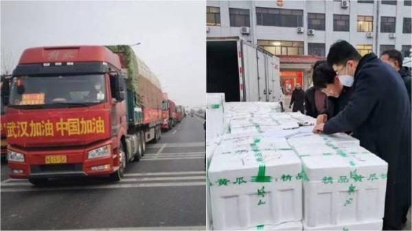 山东寿光市捐赠350吨蔬菜给武汉疫区(网络图片)