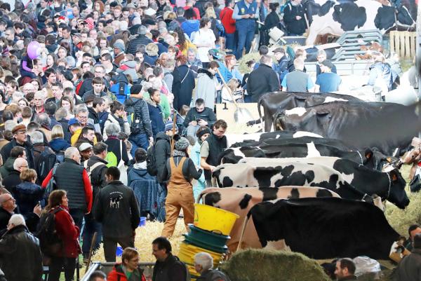 法国第57届国际农业展(AFP/Getty Images)