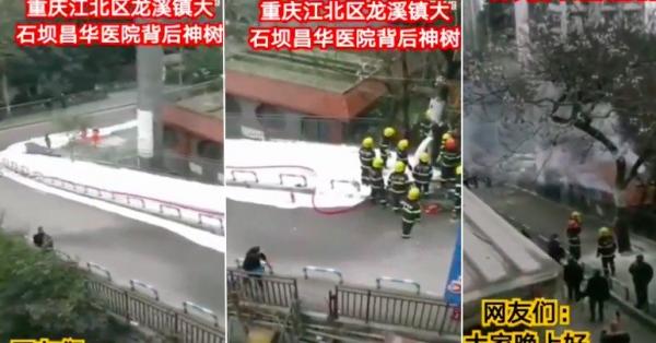 重庆江北区龙溪镇大石霸昌华医院后身一颗大树冒出浓浓白烟。（图片来源：视频截图）