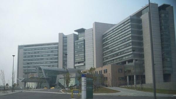 长庚等团队目前找到25株人类单株抗体，不仅可以研发快筛，最快30分钟之内知道结果，更发现1株抗体有机会抑制中共病毒进入人体，可望防治病毒。（图片来源：Chi-Hung Lin/维基百科）