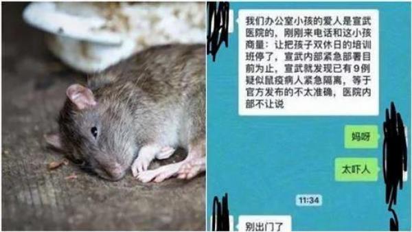 从去年10月开始，北京与内蒙古等地就已经出现鼠疫。（网络图片）