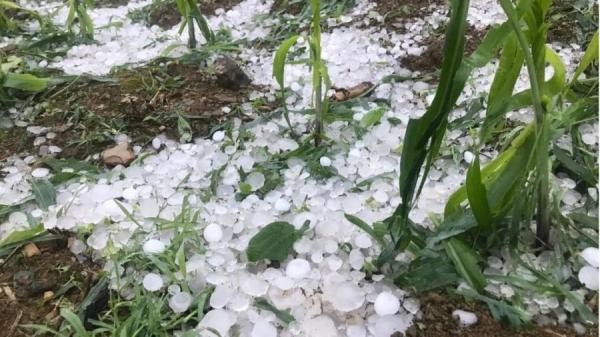 22日5点30分左右,红河屏边县多个乡镇先后出现冰雹天气,最大直经6厘米。(图片来源:网络图片)