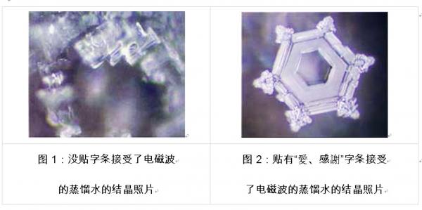 日本江本胜博士水结晶实验图片。左图:接受电磁波辐射后的瓶装蒸馏水结晶照片;右图:瓶身贴上“爱、感谢”字条后接受电磁波辐射的蒸馏水结晶照片。