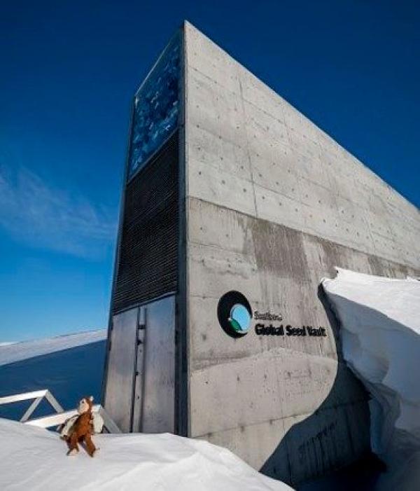 位于挪威的“斯瓦尔巴全球种子库”。(图片来源:Svalbard Global Seed Vault/Tiq/Wikipedia/CC BY-SA 4.0)