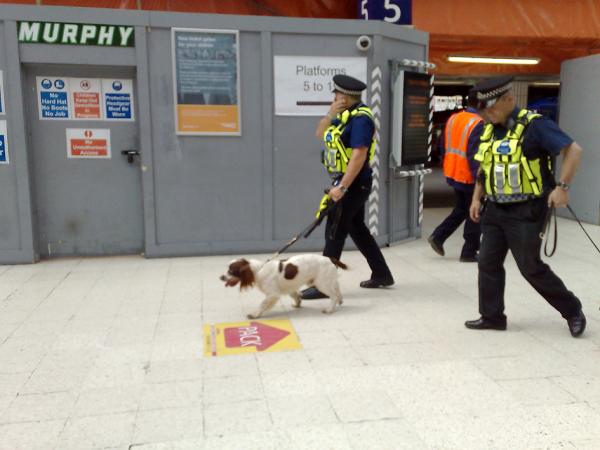 在伦敦滑铁卢车站值勤的警察和嗅探犬(Mark Kobayashi-Hillary/维基百科)