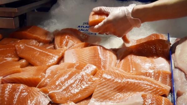 中国官方早前暗指病毒源头与三文鱼有关。(AFP/Getty Images)