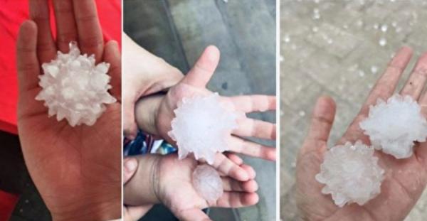 端午节北京等地突降冰雹,从网民晒出的图片可见,冰雹形状酷似冠状病毒。(图片来源:网络截图)