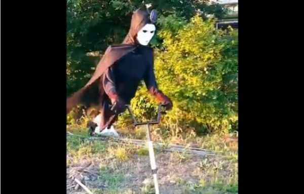 农田中的稻草人       (视频截图)