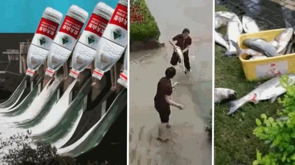 (图片来源:网络图片)