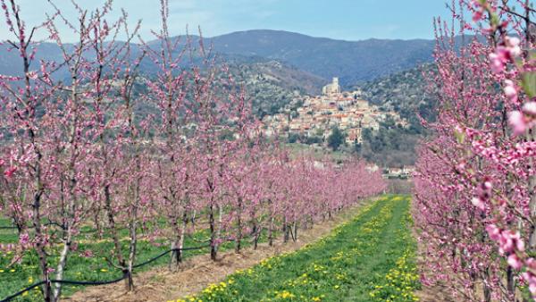 厄斯镇远景(Jcb-caz-11/维基百科:CC BY-SA 4.0)