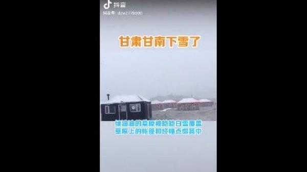 甘肃甘南一夜降雪,盛夏变严冬,引发民间热议。(图片来源:视频截图)