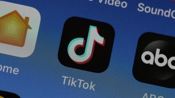 TikTok手机APP （图片来源：Justin Sullivan/Getty Images）