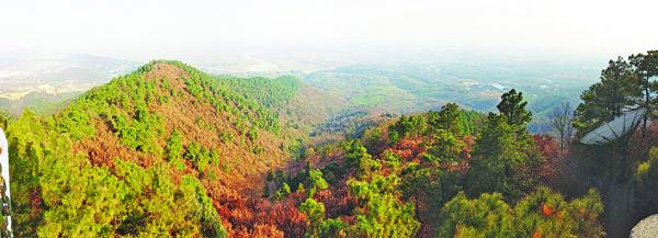 敬亭山森林公园(FISH4FISH/WIKI/CC BY-SA 4.0)