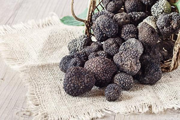 黑松露(123RF)