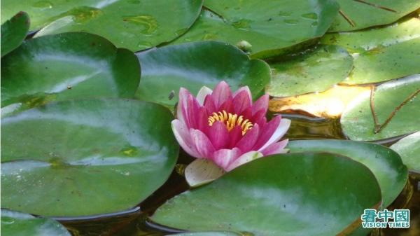 人人出言以善,则能使社会真正回归到安定祥和的状态。(摄影:贯明/看中国)