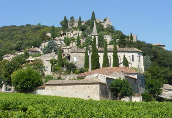 小镇和小镇脚下的葡萄园(Jacques Le Letty/Wikipedia/CC BY-SA 4.0)