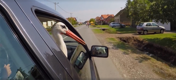 老人开车载玛琳娜去兜风。（Facebook）