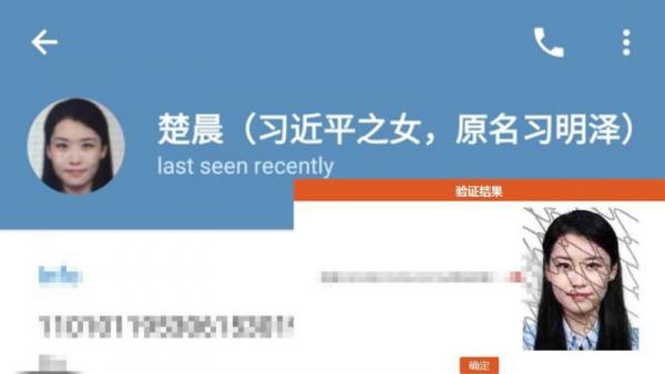 因涉及习近平女儿习明泽身份泄露,中共重判24名网民。(图片来源:网络截图)