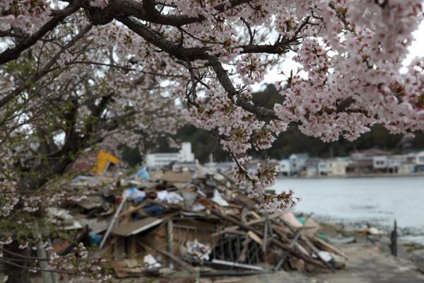 2011年3月11日日本气仙沼市发生地震和海啸后的景象(123RF)