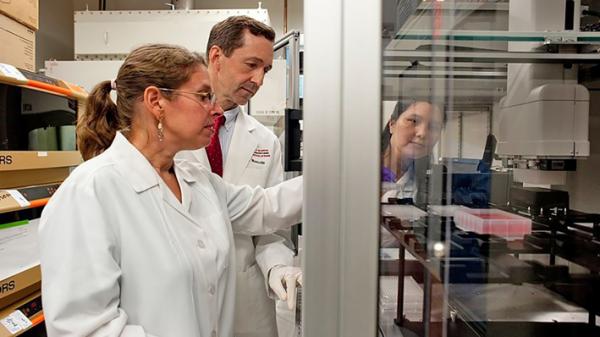 越来越多的研究Covid-19疫苗的实验室被黑客攻击。(NIAID/Wikipedia/CC BY 2.0)