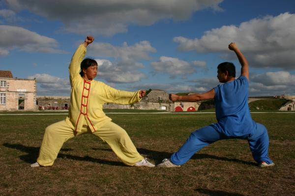 《华抱山全集》这部史诗被誉为“国宝”,其中有着传统武术的记录,值得后人研究。(图片来源:维基百科)