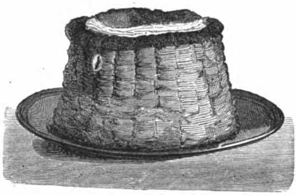 1873年，《糕点书》中的王后千层酥。（公有领域）