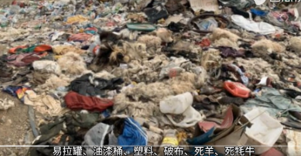 可可西里这个国家级自然保护区,如今却遭到严重污染。(图片来源:视频截图)